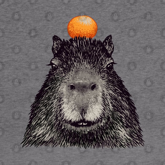 Capybara  Orange | Capy Yuzu | Capybara with Orange on Head | His Name - Gort | Portrait by anycolordesigns